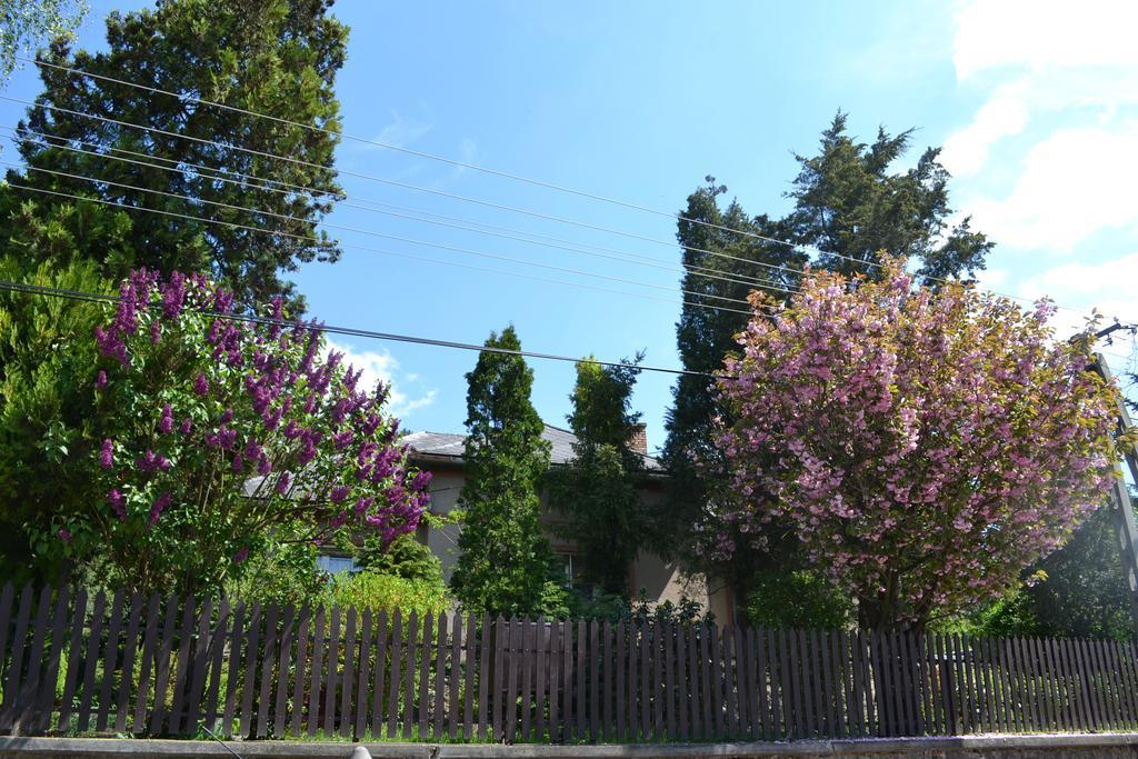 Vár-lak Vendégház Szendro Exterior foto