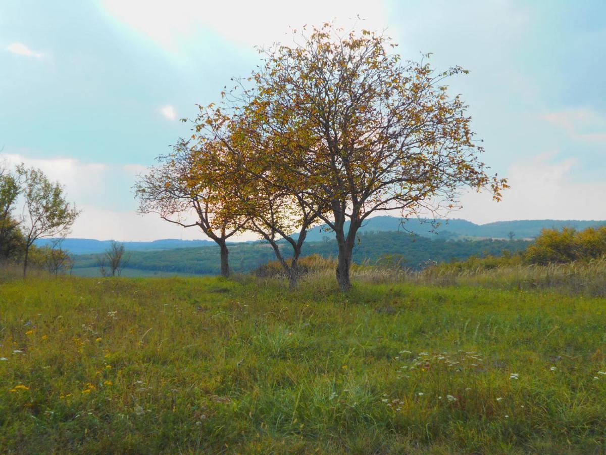 Vár-lak Vendégház Szendro Exterior foto
